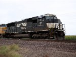 NS 1811